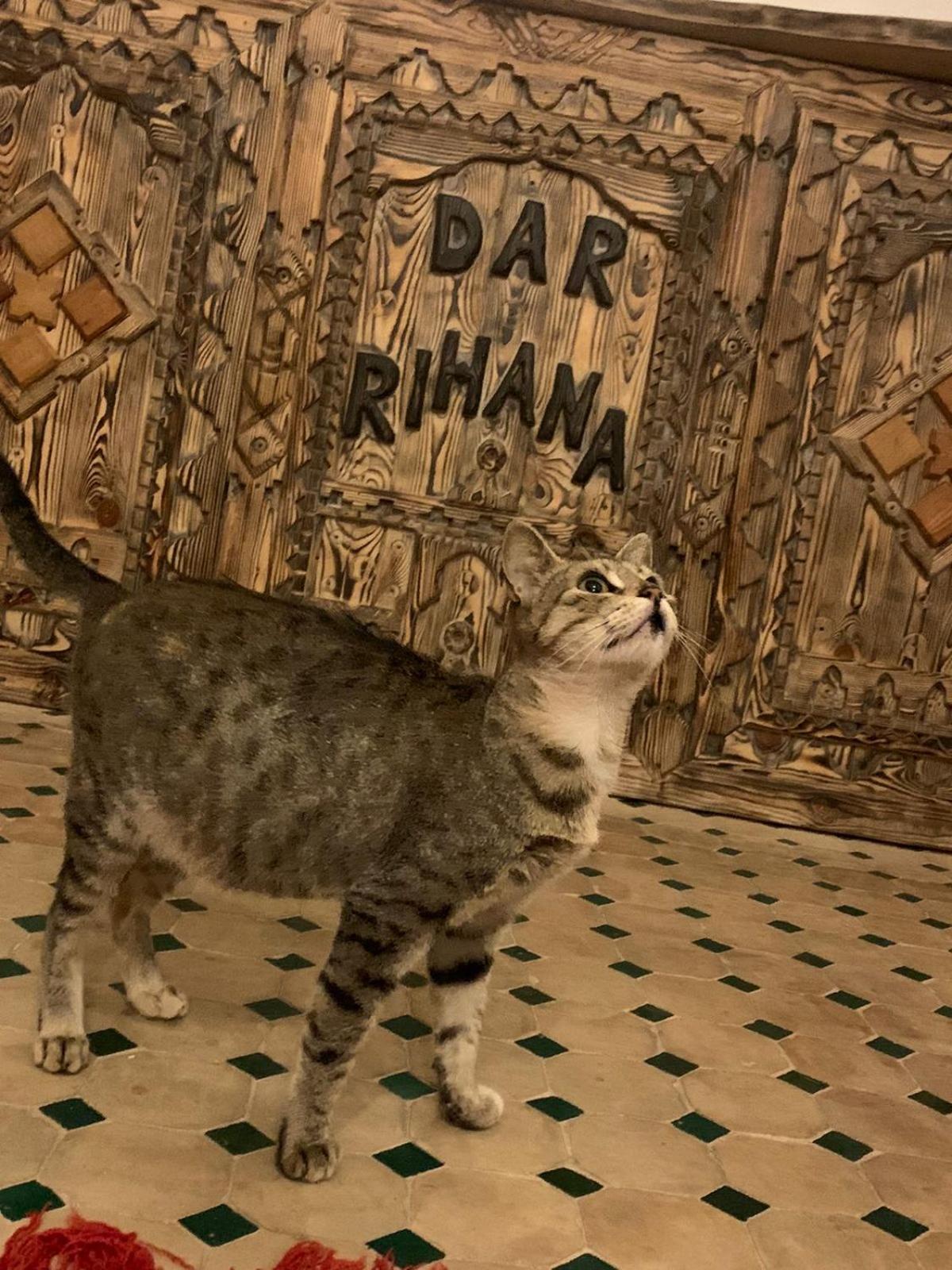 Dar Rihana Dades Aït Idaïr Exterior foto